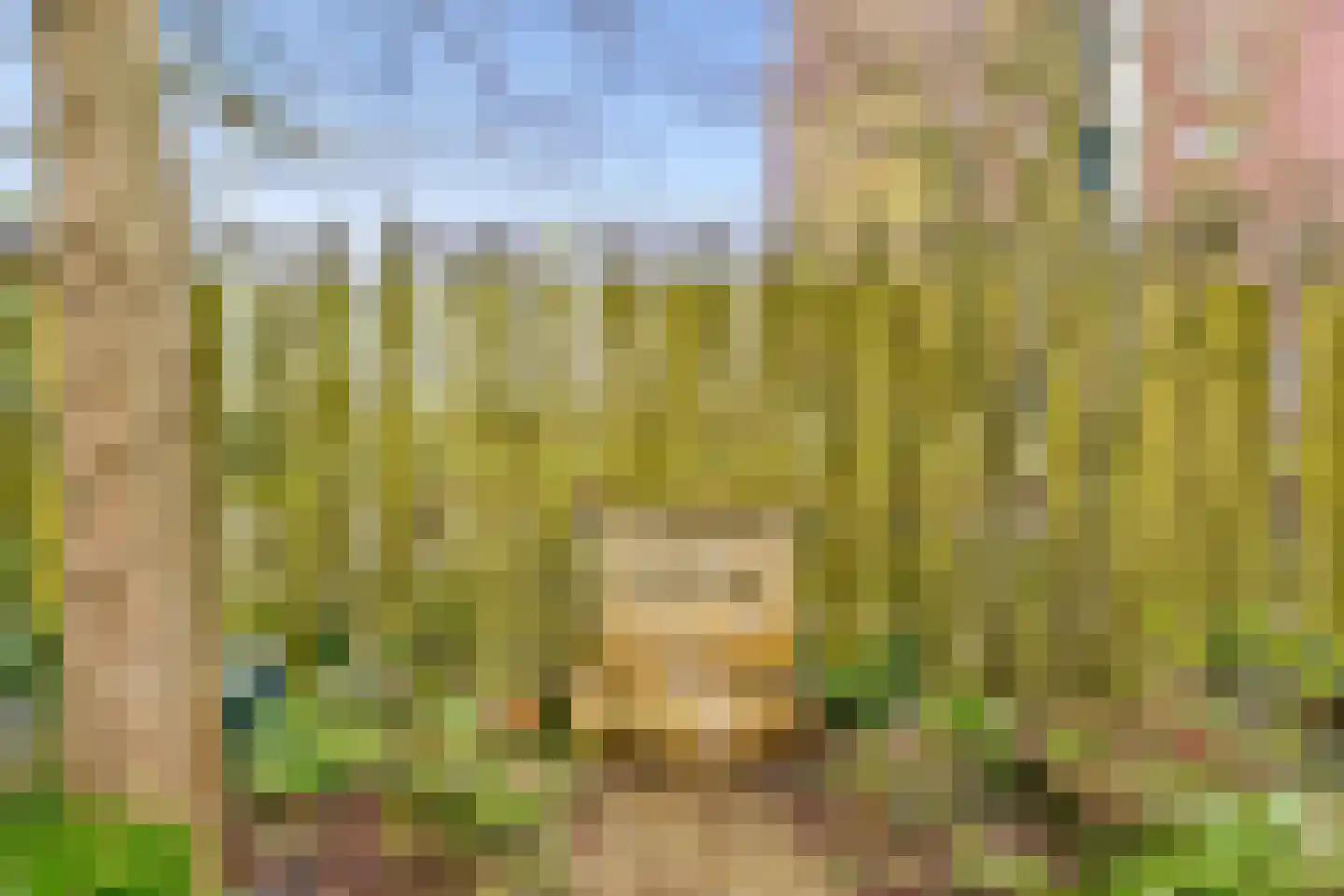 Magneetveld 66 Almere thumbnail 48