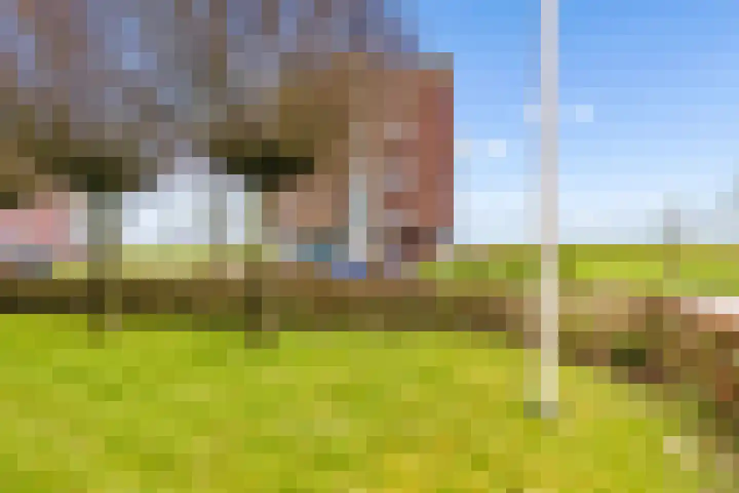 Magneetveld 66 Almere thumbnail 52