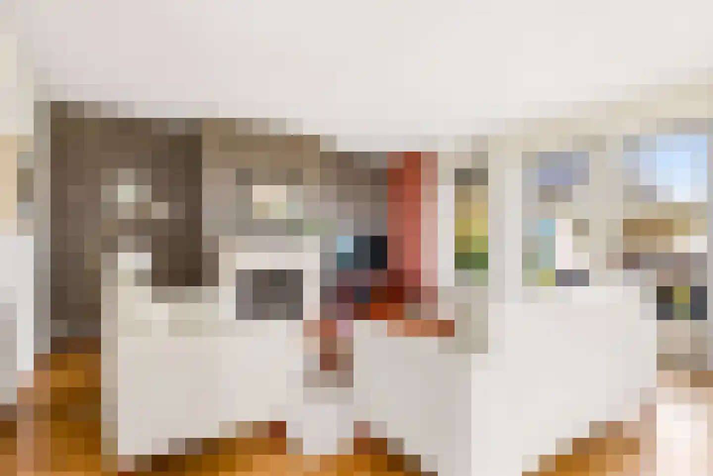 Magneetveld 66 Almere thumbnail 9