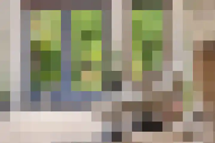 Magneetveld 9 Almere thumbnail 12