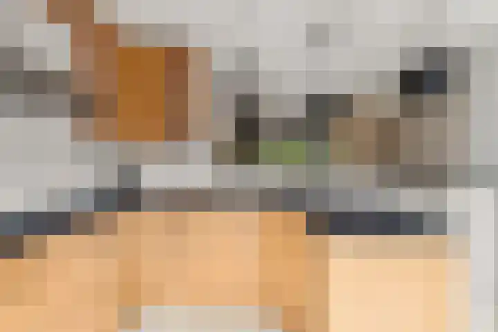 Magneetveld 9 Almere thumbnail 20