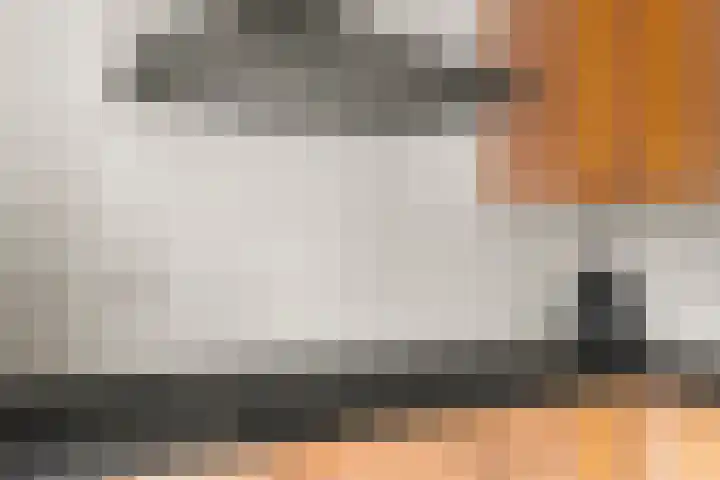 Magneetveld 9 Almere thumbnail 21