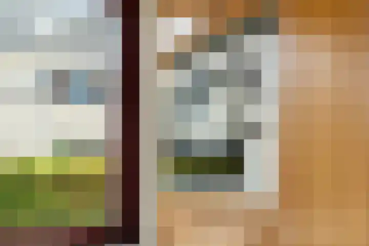 Magneetveld 9 Almere thumbnail 22