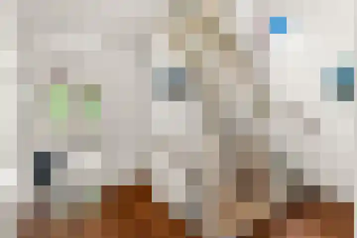 Magneetveld 9 Almere thumbnail 26