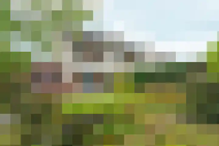 Magneetveld 9 Almere thumbnail 4