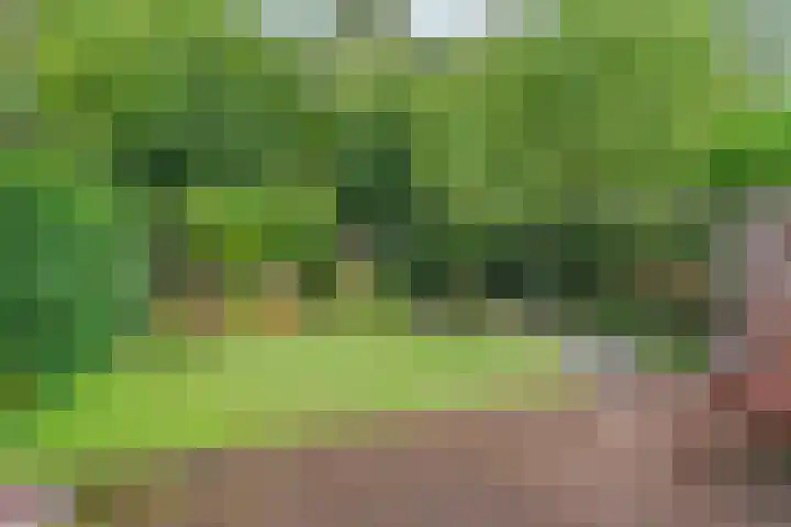 Magneetveld 9 Almere thumbnail 45