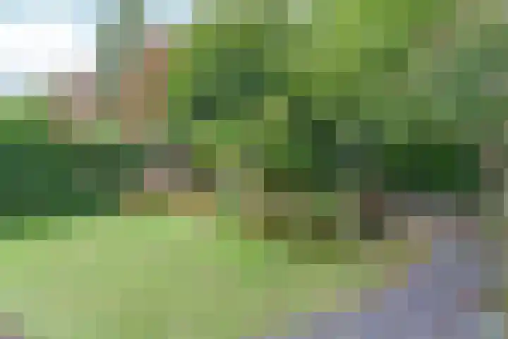 Magneetveld 9 Almere thumbnail 46