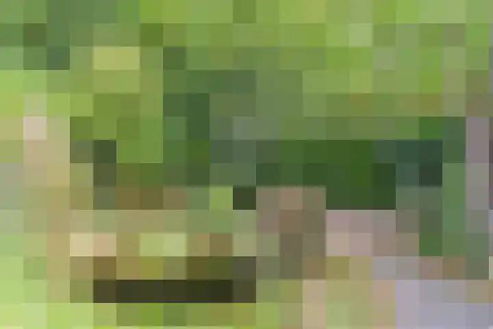 Magneetveld 9 Almere thumbnail 47