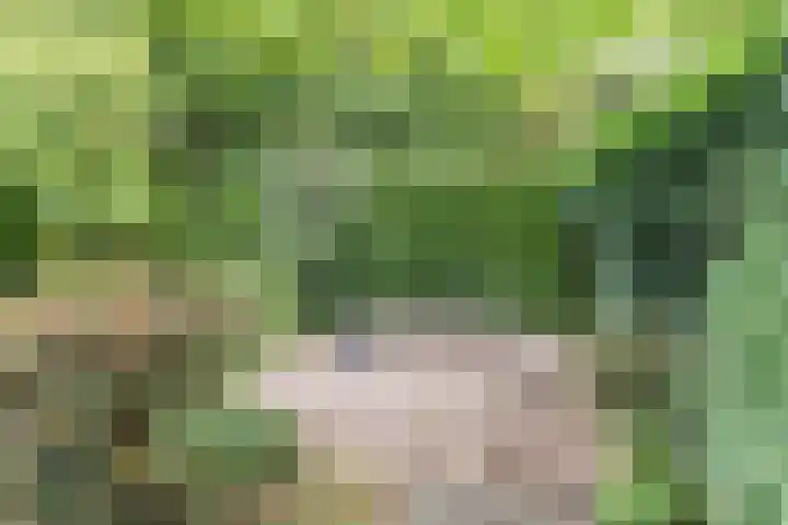 Magneetveld 9 Almere thumbnail 48