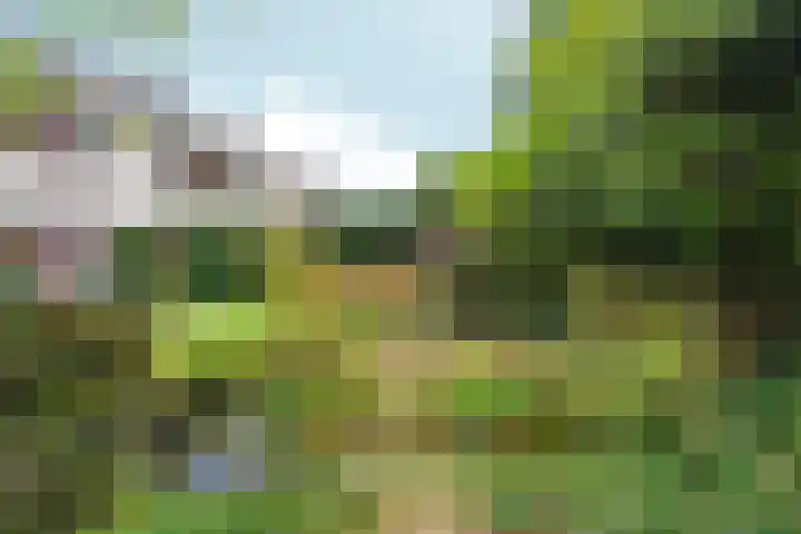 Magneetveld 9 Almere thumbnail 49