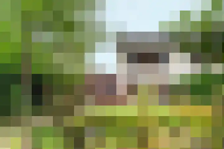 Magneetveld 9 Almere thumbnail 50