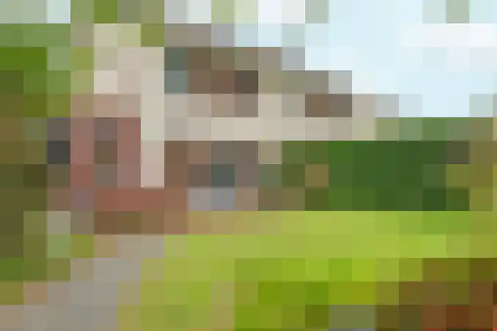 Magneetveld 9 Almere thumbnail 51