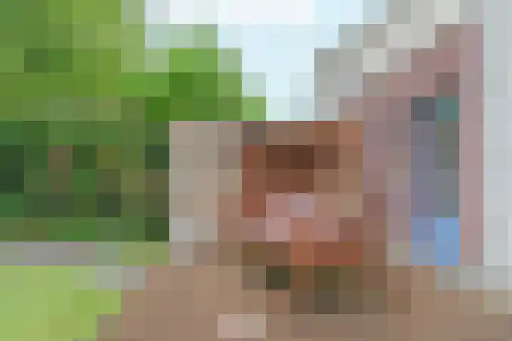 Magneetveld 9 Almere thumbnail 53