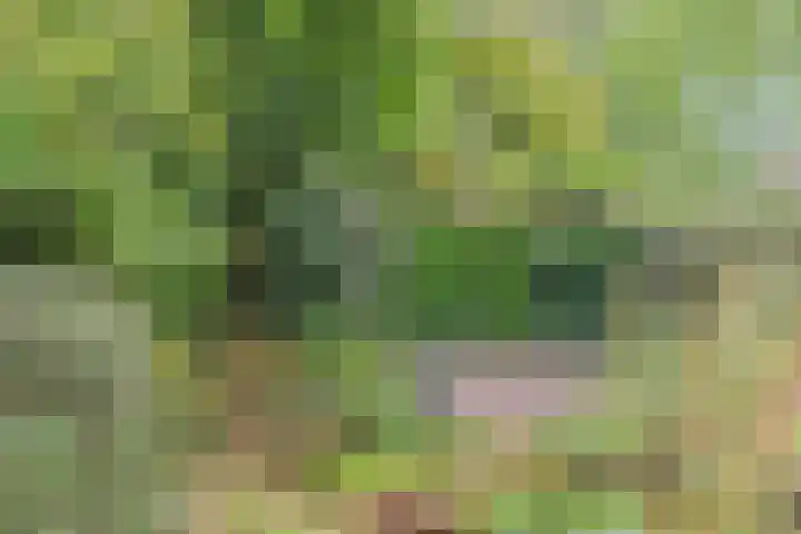 Magneetveld 9 Almere thumbnail 54