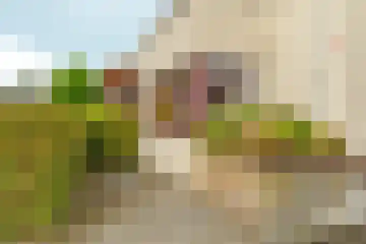 Magneetveld 9 Almere thumbnail 56
