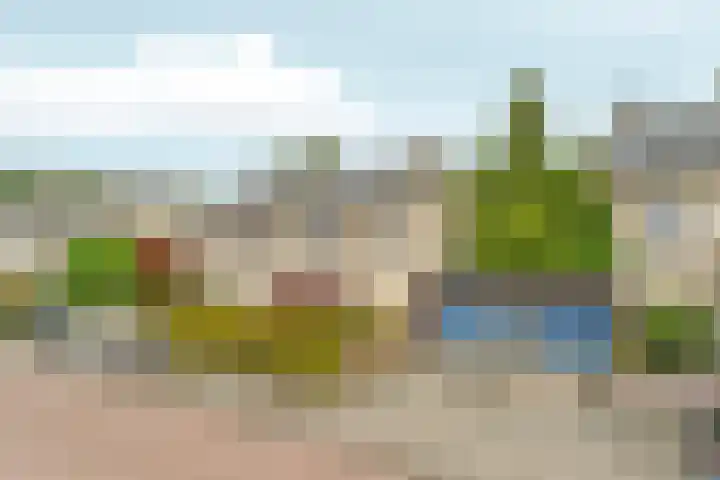 Magneetveld 9 Almere thumbnail 6