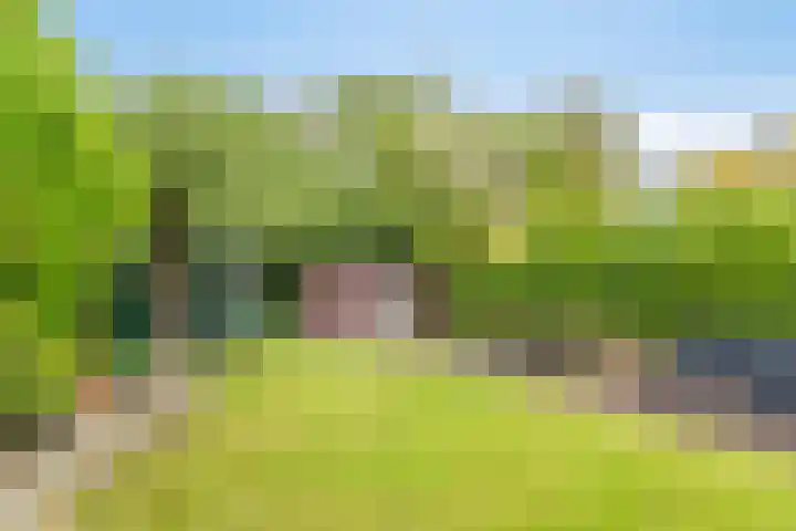 Magnesiumlaan 33 Groningen thumbnail 41