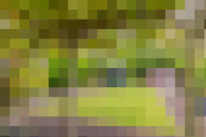 Magnesiumlaan 33 Groningen thumbnail 42