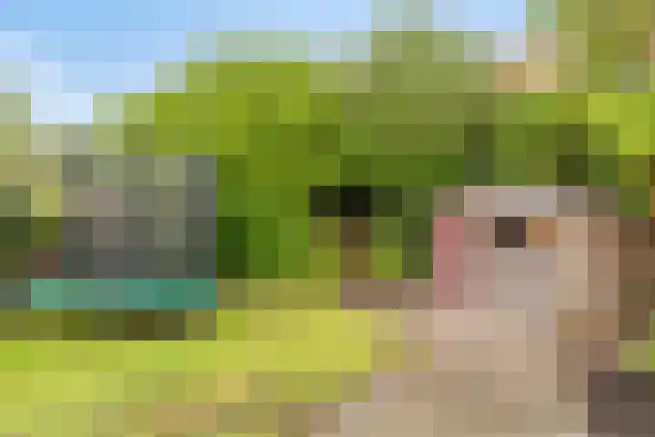 Magnesiumlaan 33 Groningen thumbnail 44