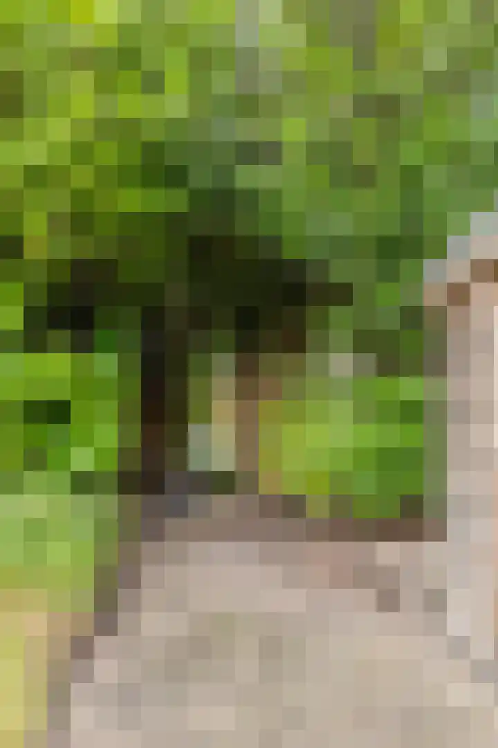 Magnesiumlaan 33 Groningen thumbnail 45