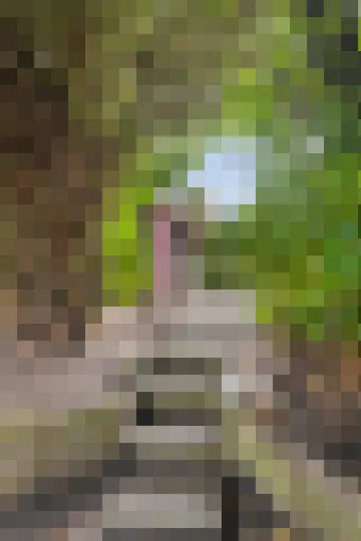 Magnesiumlaan 33 Groningen thumbnail 46