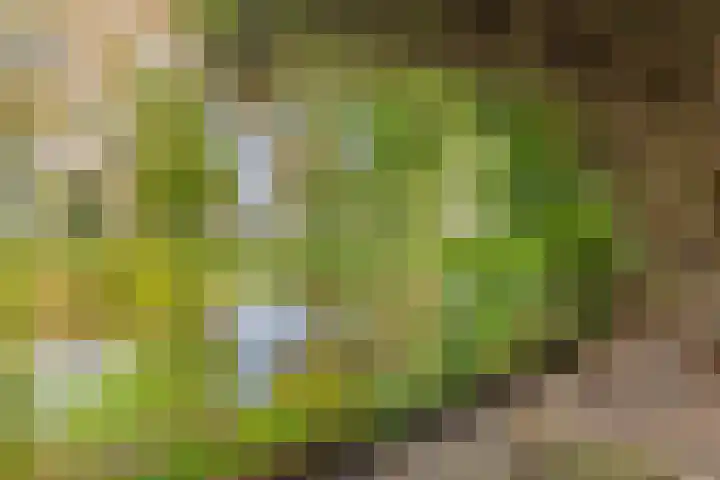 Magnesiumlaan 33 Groningen thumbnail 47