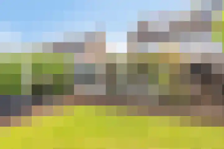 Magnesiumlaan 33 Groningen thumbnail 49