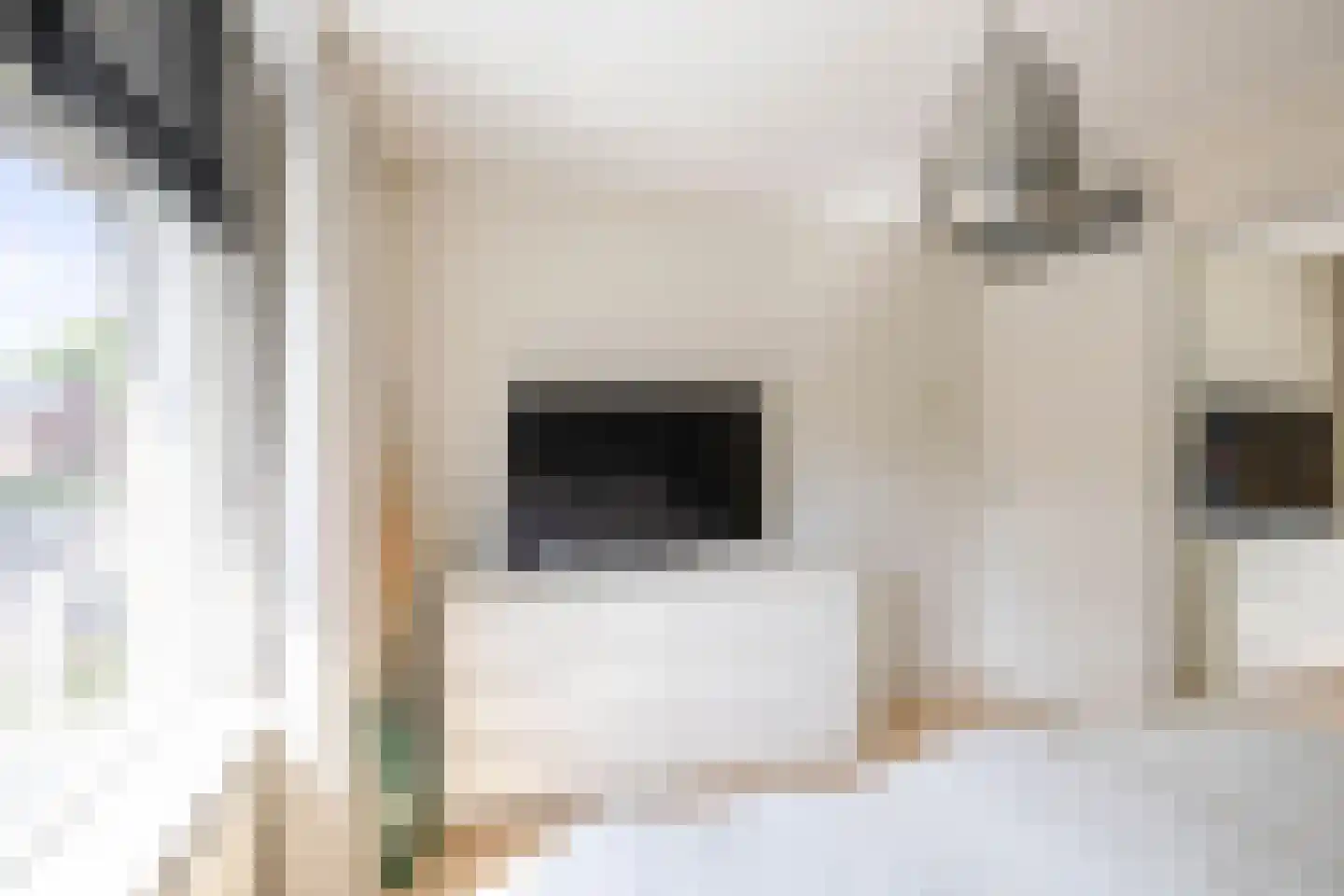 Magnesiumlaan 45 Groningen thumbnail 24