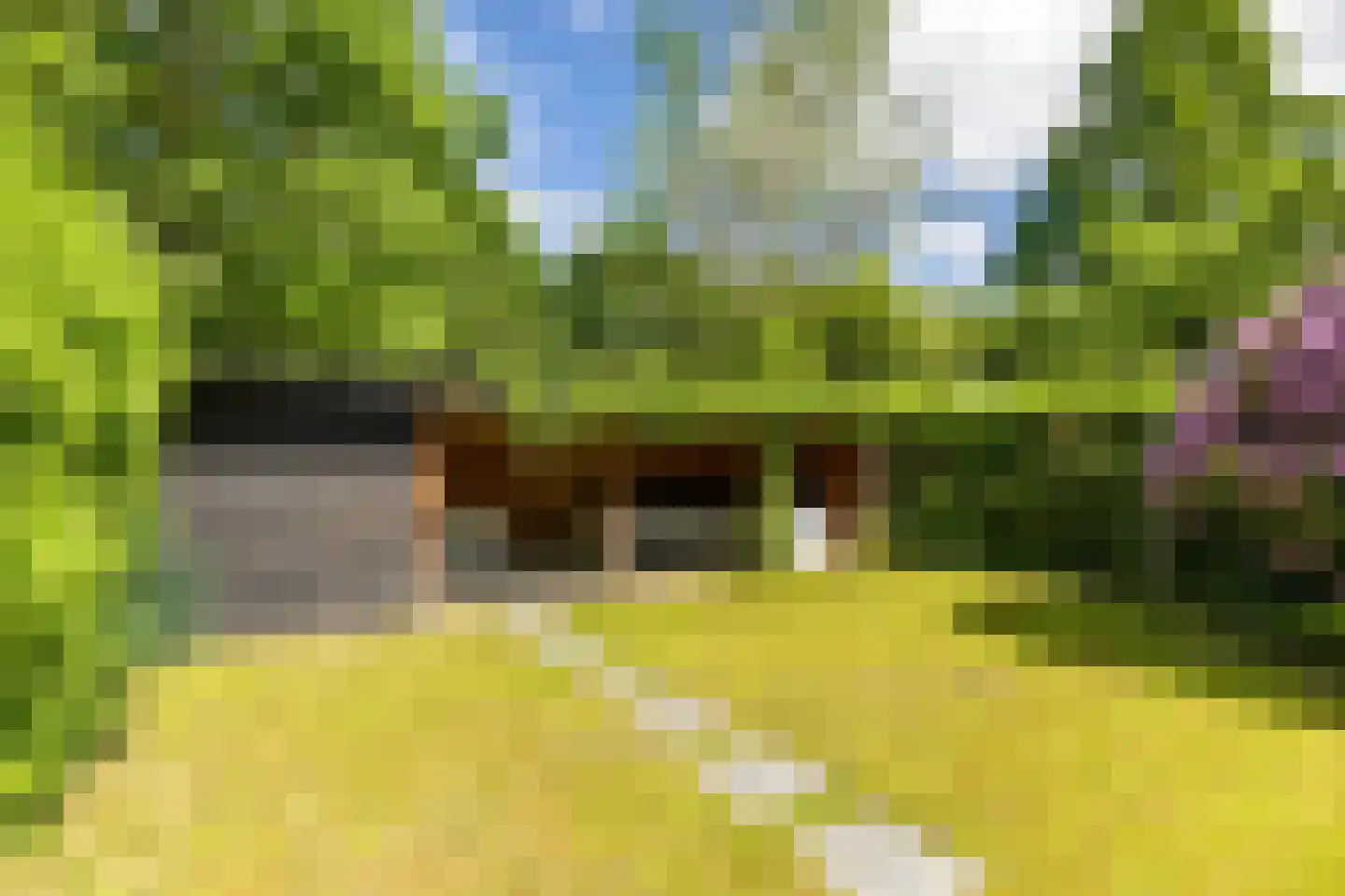 Magnesiumlaan 45 Groningen thumbnail 38