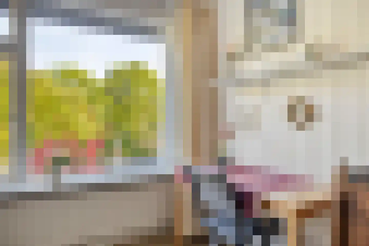 Magnesiumlaan 63 Groningen thumbnail 25
