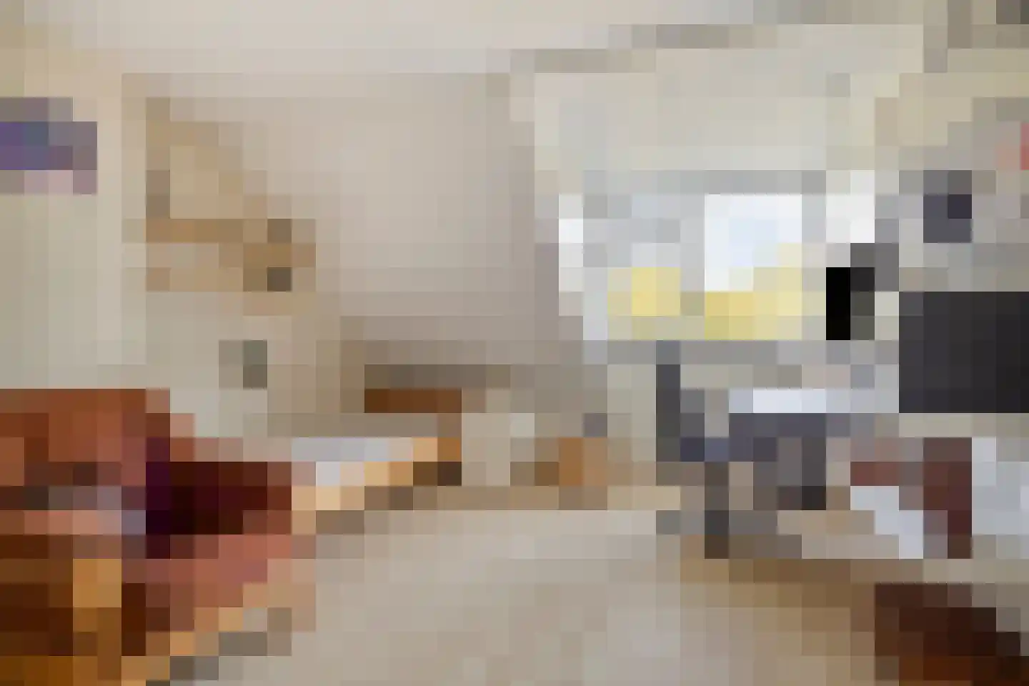 Magnesiumlaan 63 Groningen thumbnail 28
