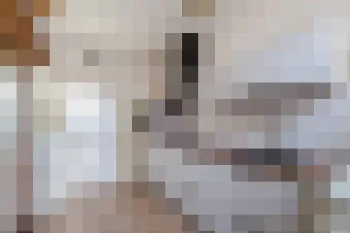 Magninstraat 2 Veendam thumbnail 10