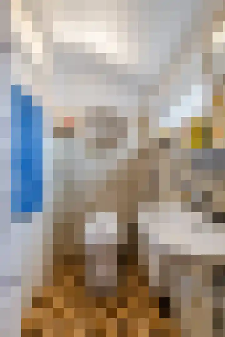 Magninstraat 2 Veendam thumbnail 26