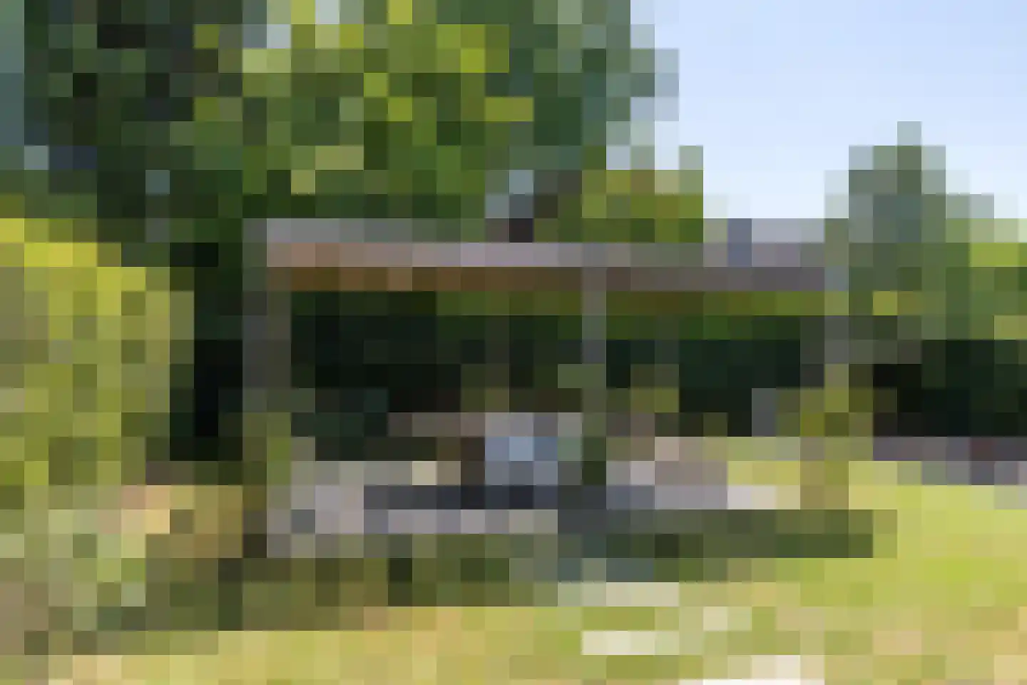 Magnolia 11 Sittard thumbnail 57