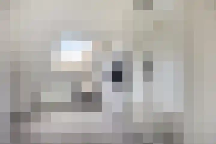 Magnolia 13 Brandwijk thumbnail 23