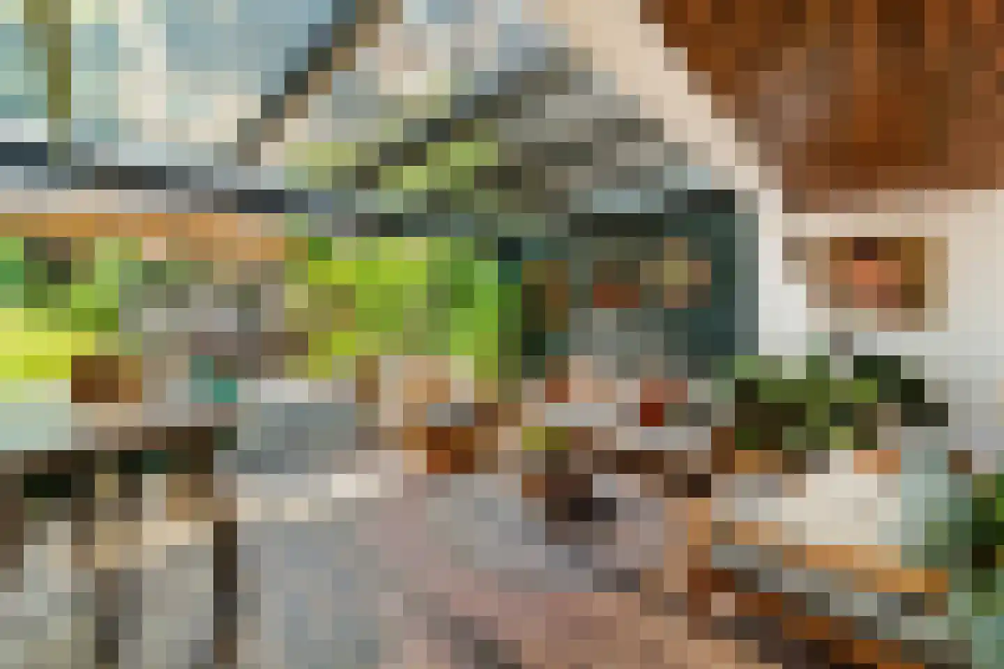 Magnolia 13 Monster thumbnail 36