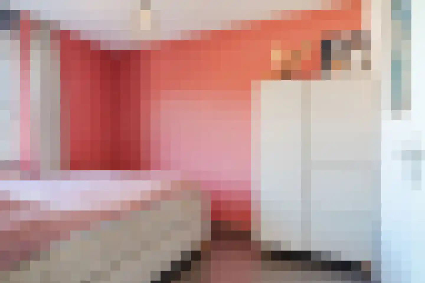 Magnolia 16 Cuijk thumbnail 19