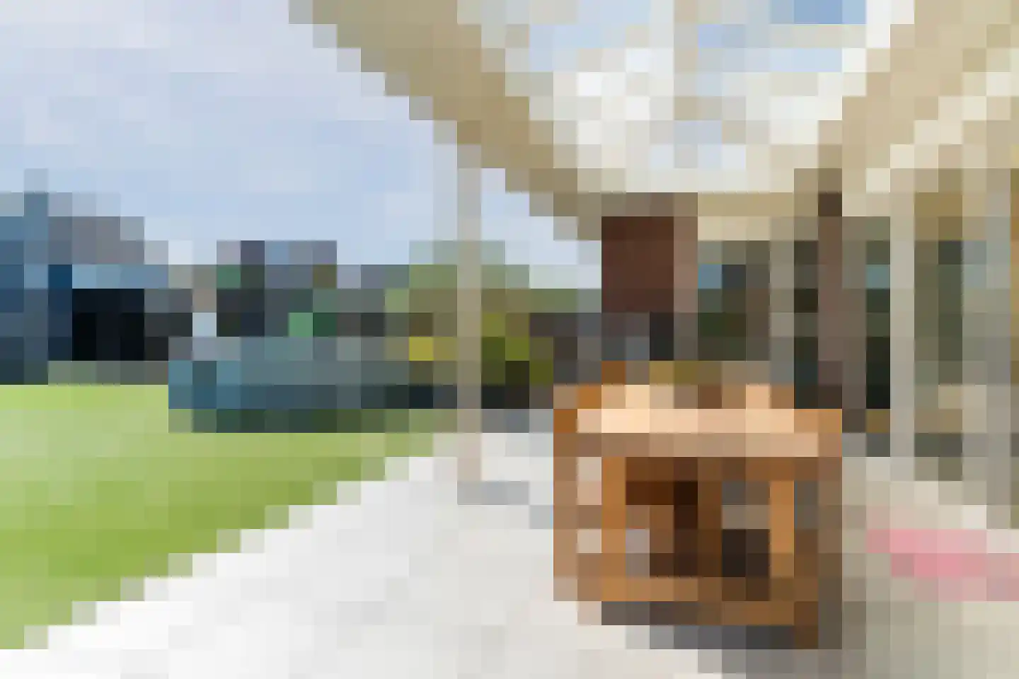 Magnolia 16 Cuijk thumbnail 32