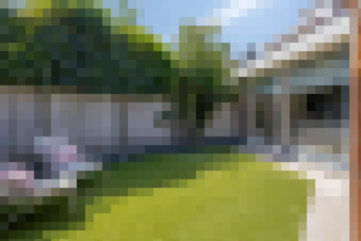Magnolia 16 Halsteren thumbnail 41