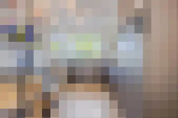 Magnolia 17 Best thumbnail 12