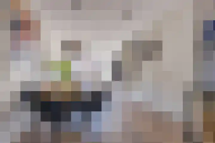Magnolia 17 Best thumbnail 17