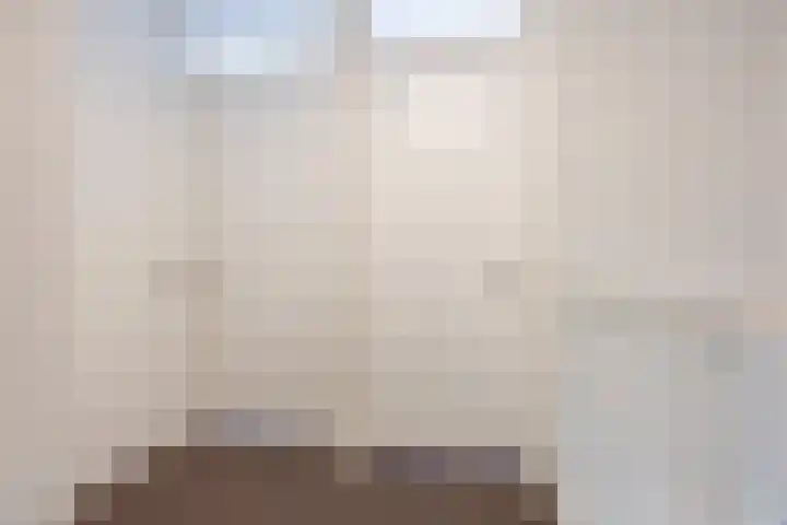 Magnolia 17 Best thumbnail 19