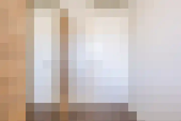 Magnolia 17 Best thumbnail 24