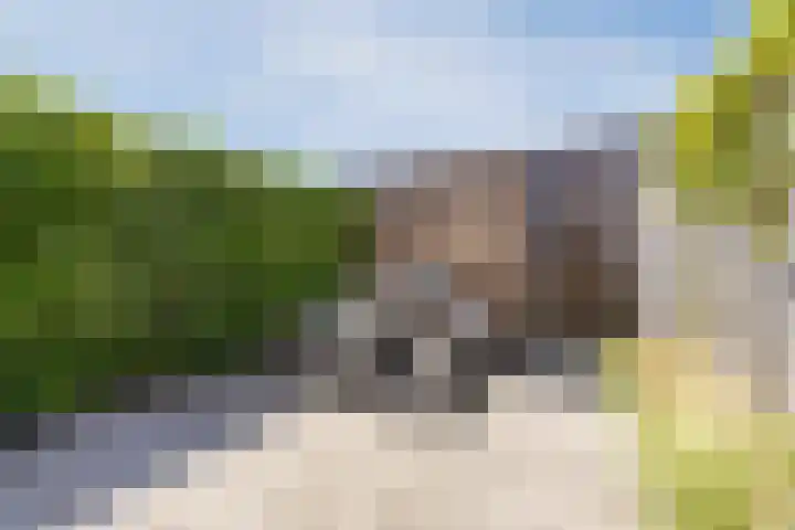 Magnolia 17 Best thumbnail 27