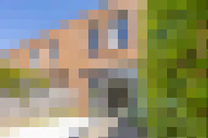 Magnolia 17 Best thumbnail 28
