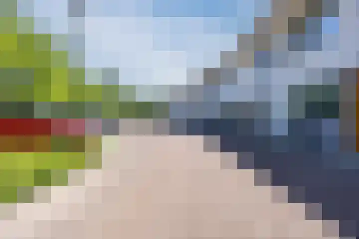 Magnolia 17 Best thumbnail 33