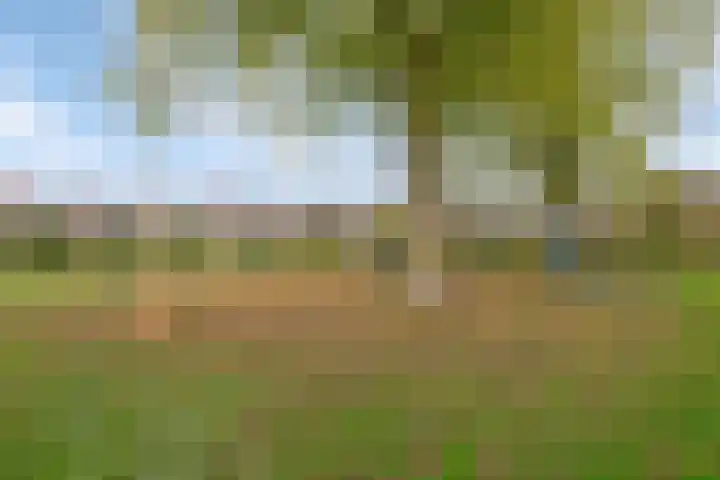 Magnolia 17 Best thumbnail 34