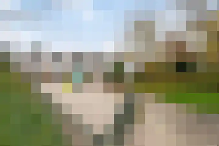 Magnolia 17 Best thumbnail 37