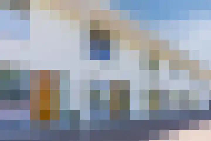 Magnolia 17 Best thumbnail 41
