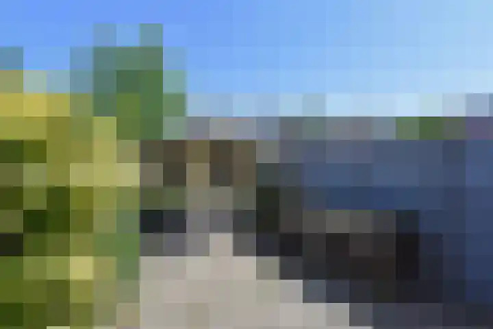 Magnolia 23 Monster thumbnail 47